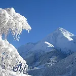 Cuntera Curaglia