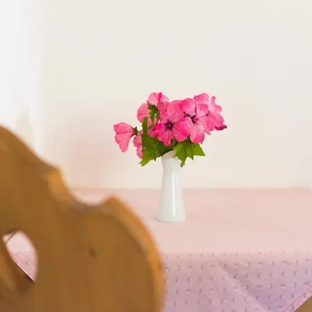 康塔酒店 酒店 3*