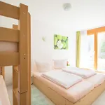 Cuntera